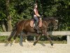 dressage horse Tinkerbell (Welsh-Pony (Section B), 2011, from Tizian)