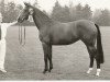 broodmare Bumarilla (KWPN (Royal Dutch Sporthorse), 1983, from Zeus)