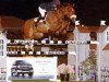 stallion Morado (KWPN (Royal Dutch Sporthorse), 1994, from Indorado)