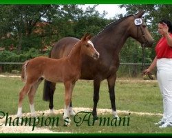 Dressurpferd Champion's Armani (Deutsches Reitpony, 2004, von FS Champion de Luxe)