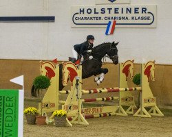 jumper Way of My Life (Hanoverian, 2012, from Watermill Rolex xx)