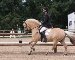 stallion Mastrup Zola (Fjord Horse, 1996, from Eros FJH 676)