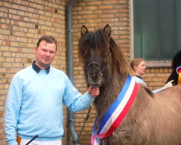 horse Kjartan vom Heesberg (Iceland Horse, 2010, from Kraftur vom Heesberg)