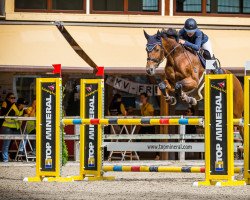 broodmare Girl Von Hinterberg CH (Swiss Warmblood, 2007, from Grafenstolz)