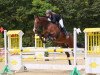 jumper Sir Richard 6 (Irish Sport Horse, 2005)