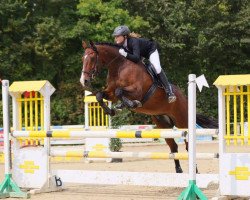 jumper Sir Richard 6 (Irish Sport Horse, 2005)