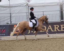 broodmare FS Nala (German Riding Pony, 2014, from Fs Numero Uno)