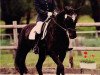 dressage horse Gwendolyn 18 (German Sport Horse, 1992, from Glorieux)