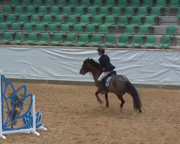Reitturnier Kreuth/Opf. 2022