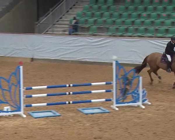 Reitturnier Kreuth/Opf. 2022