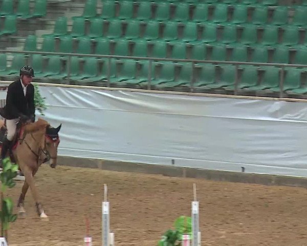 Reitturnier Kreuth/Opf. 2022