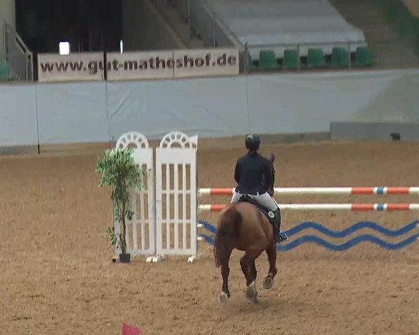 Reitturnier Kreuth/Opf. 2022