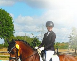 dressage horse Humbery (KWPN (Royal Dutch Sporthorse), 2012, from Bordeaux 28)