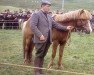 stallion Blesi frá Skáney (Iceland Horse, 1958, from Roði frá Ytra-Skörðugili)