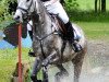 jumper Garinjo H genannt Kiddiwutz (Trakehner, 2008, from Insterburg TSF)