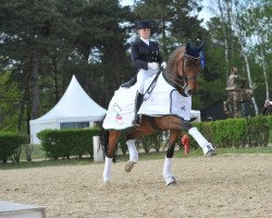 dressage horse Laetitian R. (Oldenburger, 2001, from Lord Sinclair I)