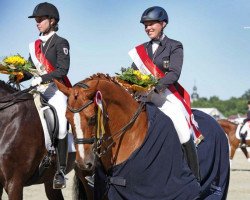 dressage horse Womanizer (Hanoverian, 2001, from Weltruhm)