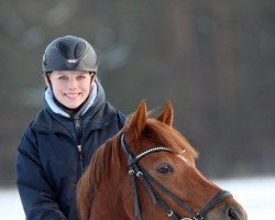 Springpferd Meylo (Deutsches Reitpony, 2006, von Merlin)