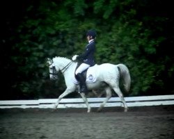 dressage horse Happy Tin Raggea Man (Welsh-Pony (Section B), 2003, from Mahrdorf Red Runner)