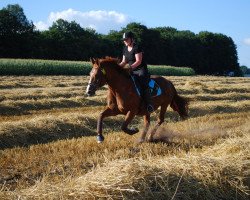 broodmare Monique (Westphalian, 1992, from Monte Carlo I)