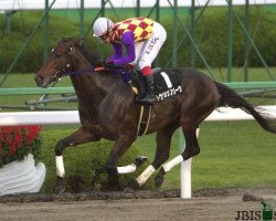 horse Tosho Freak xx (Thoroughbred, 2007, from King Kamehameha xx)