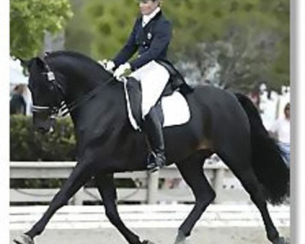 horse Gambol (KWPN (Royal Dutch Sporthorse), 1994, from Gabor)