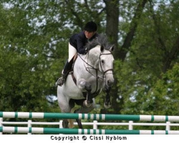 jumper C'est Si Bon (Swedish Warmblood, 1998, from VDL Cardento 933)