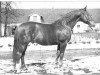 stallion Servator (Hanoverian, 1966, from Senner)