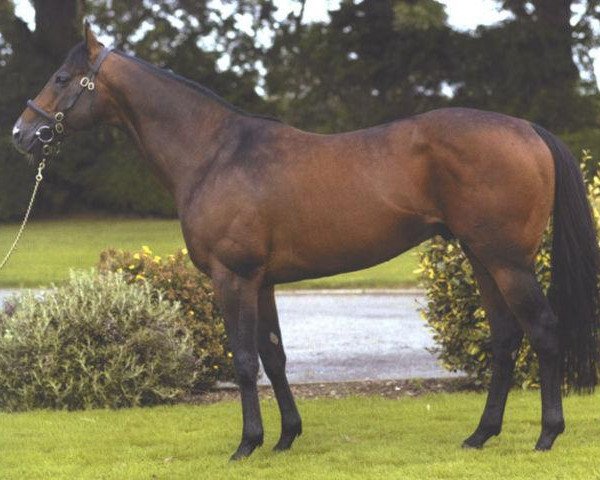 stallion Acclamation xx (Thoroughbred, 1999, from Royal Applause xx)