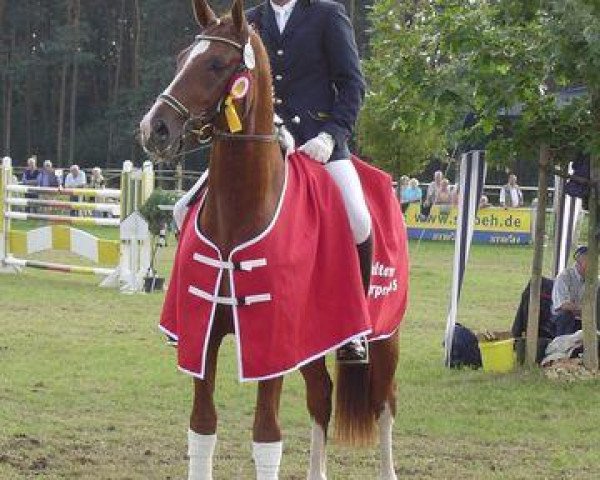 jumper Accentus 3 (Hanoverian, 2000, from Adlantus As)