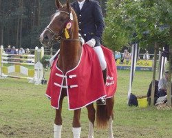 jumper Accentus 3 (Hanoverian, 2000, from Adlantus As)