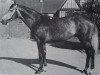 stallion Abwah xx (Thoroughbred, 1969, from Abernant xx)