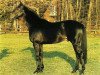 stallion Abrastos xx (Thoroughbred, 1980, from Arratos xx)
