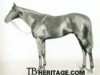 stallion Abjer xx (Thoroughbred, 1933, from Asterus xx)