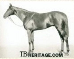 stallion Abjer xx (Thoroughbred, 1933, from Asterus xx)