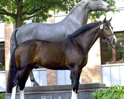 Springpferd Con Capilot (Westfale, 2003, von Con Capitol)