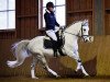 dressage horse Golden Night-Live (German Riding Pony, 2005, from Golden Atreju)