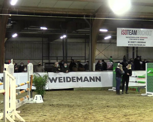 Hallenspringturnier Barlo-Bocholt 2022
