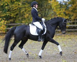 broodmare Aphrodite Se.M. (German Riding Pony, 2008, from Der feine Lord AT)