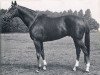 stallion Riboprince xx (Thoroughbred, 1967, from Ribot xx)