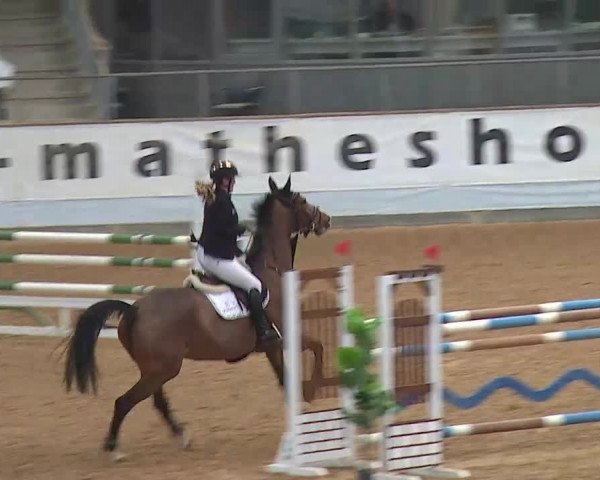 Reitturnier Kreuth/Opf. 2022