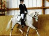 stallion Lajunen (German Riding Pony, 2002, from Losander)