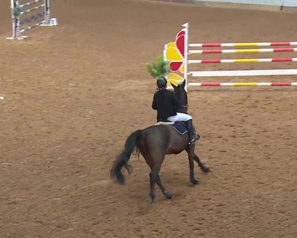 Reitturnier Kreuth/Opf. 2022