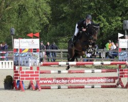 jumper Petti 5 (German Riding Pony, 2012, from Cappuccino)