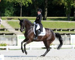 dressage horse Firanta (Oldenburg, 2002, from Fürst Heinrich)