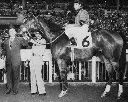 broodmare A Gleam xx (Thoroughbred, 1949, from Blenheim II xx)