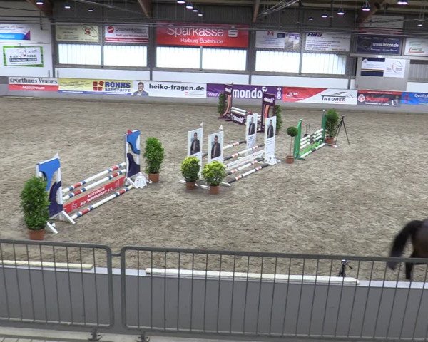 Late Entry Springturnier Luhmühlen 2022