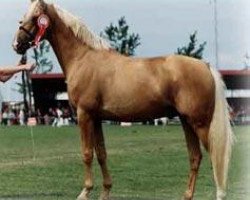 stallion Crown's Choice (Palomino, 1991, from Brandy)