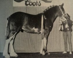 Pferd Willoway Magnum (Clydesdale, 1985, von Bardrill Enterprise)