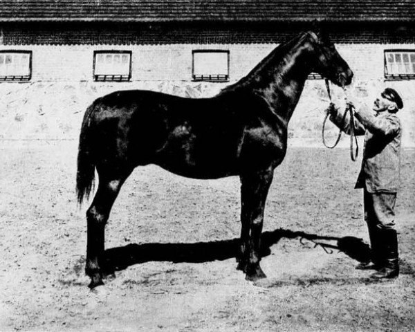 stallion Ruler xx (Thoroughbred, 1884, from Isonomy xx)